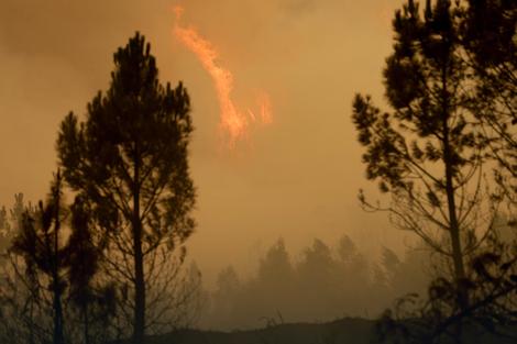 VRELI TALAS U TURSKOJ Vrućina izazvala šumske požare, u Antaliji 45,4 stepena