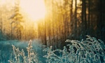 VREMENSKA PROGNOZA: Ujutru mraz, tokom dana sunčano