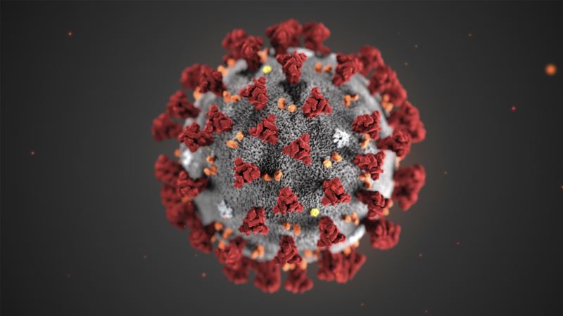 Vakcina za koronavirus moguća u rekordnom roku