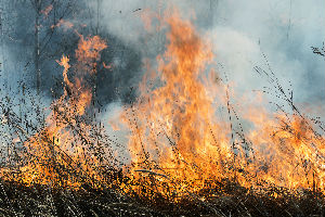 Vanredna situacija, požar se širi po Suvoboru i Maljenu
