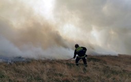 
					Vanredna situacija zbog požara u opštinama Bosilegrad i Trgovište 
					
									