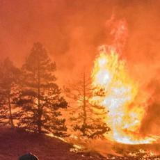 Vatra BESNI na čuvenom odmaralištu u Italiji: 700 turista hitno evakuisano! (FOTO)