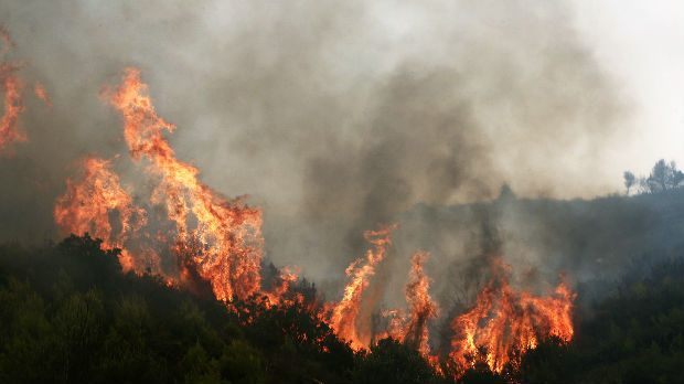 Vatra progutala hektare šuma, vatrogasci gase 90 požara