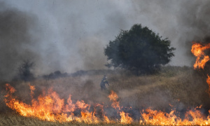 Vatrena stihija progutala hektare šuma, bukti 90 požara (FOTO)