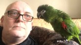 Velika Britanija: Policija tražila ženu koja vrišti, a našla papagaja
