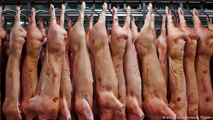 Velika svinjarija u mesnoj industriji Tenisa