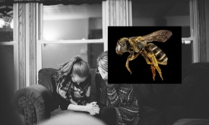 JOŠ JEDNA OGROMNA TRAGEDIJA U SRBIJI! Milenka ujela pčela, počeo je da se češe - nakon 40 minuta BIO JE MRTAV!