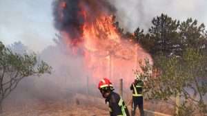 Veliki požar na hrvatskom primorju: ‘Branimo kuću po kuću’