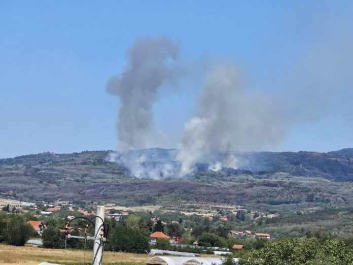 Veliki požar na otvorenom kod leskovačkog sela Babičko