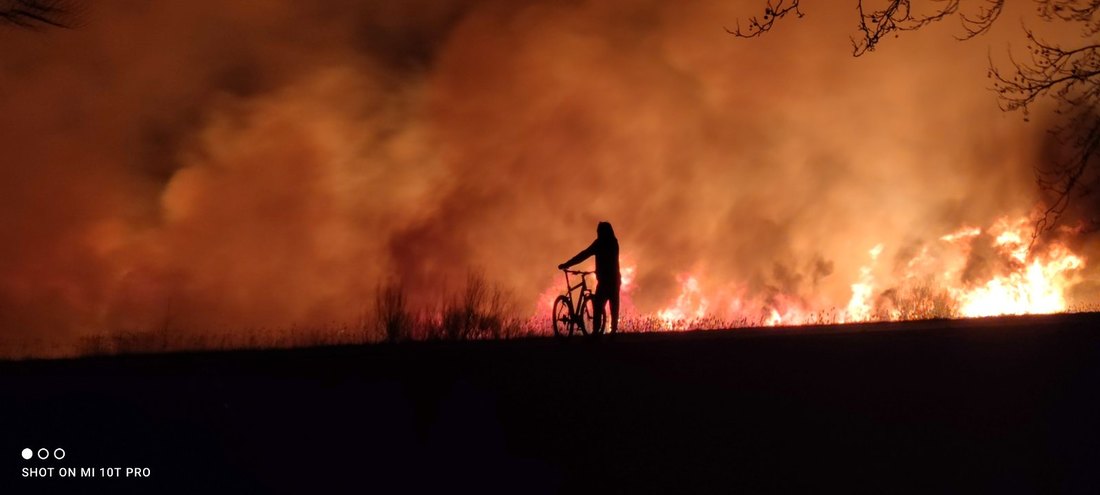 Veliki požar bukti u Futogu: Gori sedam hektara rastinja, prizori dramatični (VIDEO)
