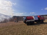 Veliki šumski požar: Vatra zahvatila tri hektara FOTO