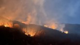 Veliki šumski požar buknuo kod Cetinja FOTO