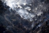 Veliki šumski požar u Kaliforniji: Gori nacionalni park