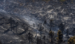 Veliki šumski požar u Valensiji stavljen pod kontrolu