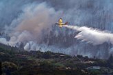Veliki šumski požar na Kanarskim ostrvima, evakuisano 4.255 ljudi VIDEO