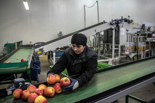 Proizvođačima jabuka rusko tržište više nije pouzdano