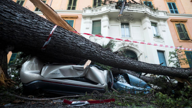 Vetar obarao stabla u Italiji, šest žrtava