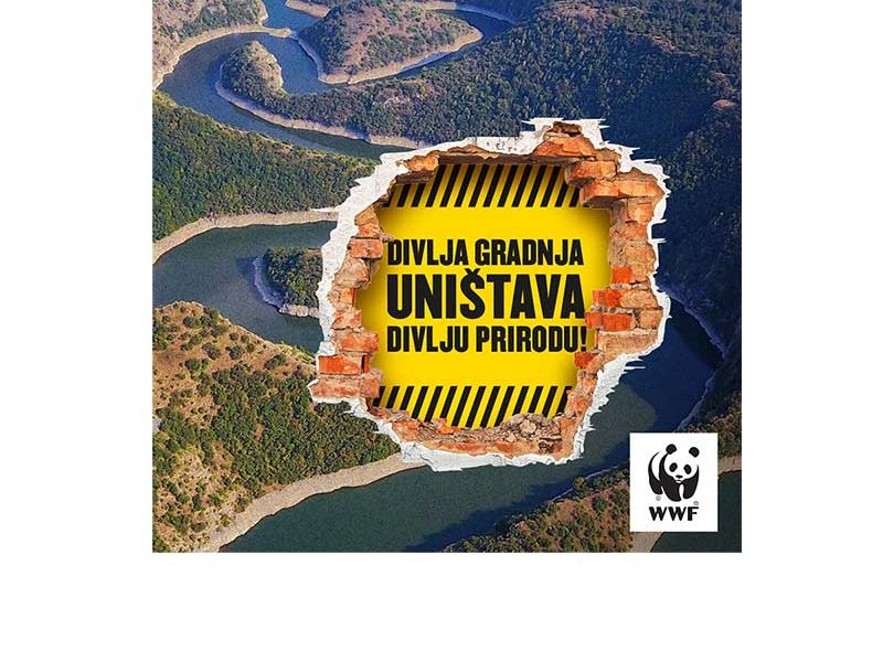 Vila Divljina: Fake smeštaj u borbi protiv realnosti divlje gradnje