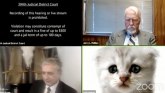Virtuelno ročište: Kada advokat postane mačak
