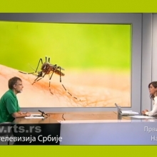 Virus Zapadnog Nila kod komaraca u nekoliko opstina i gradova Srbije