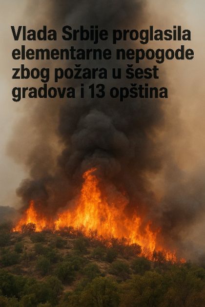 Vlada Srbije proglasila elementarne nepogode zbog požara u šest gradova i 13 opština