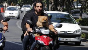 Vlasnici pasa na udaru iranskih vlasti
