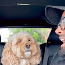 Vlasnik je pitao psa da li zna šta je LJUBAV: Ovo je njegova reakcija koja je oduševila sve (VIDEO)