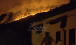 Vlasti u Portugaliji odgovorne za smrt 64 osobe u junskim požarima (VIDEO)