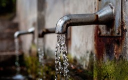 
					Voda iz gradske mreže u Pirotu neispravna za piće 
					
									