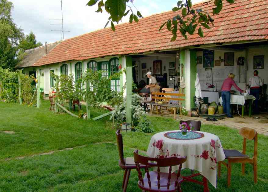 Volite ŽIVOT NA SELU? Ova mesta u Srbiji poklanjaju kuće parovima, postoji samo JEDAN USLOV