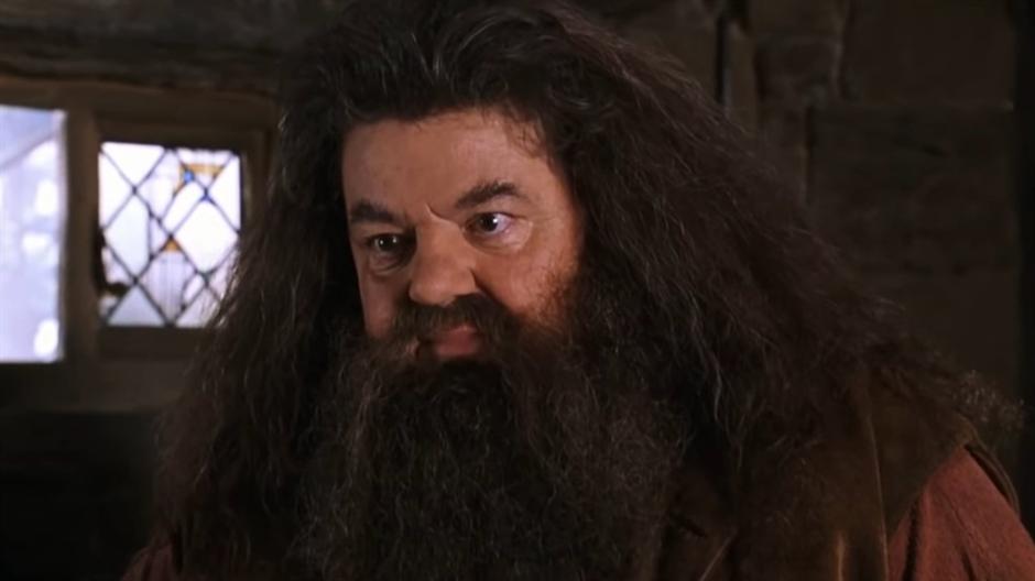 Voljeni Hagrid teško bolestan (FOTO, VIDEO)
