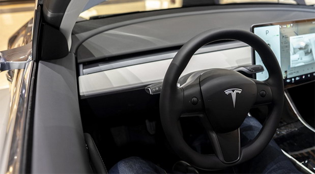 Vozači Tesla vozila više neće moći da plaše pešake