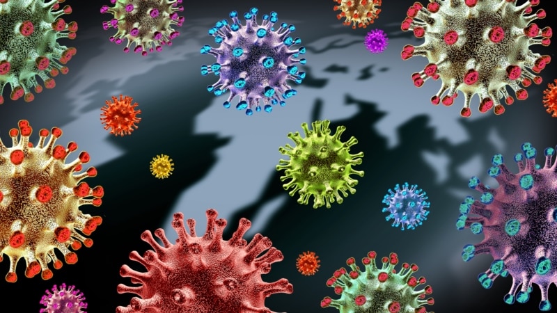 Vraćeni izbrisani podaci o korona virusu pojačali debate o njegovom porijeklu