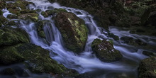 Vrelo Grza najlepša fotografija prirode Srbije