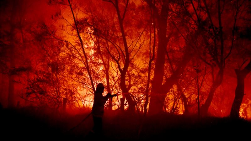 Vrućina prži Australiju, požari gore