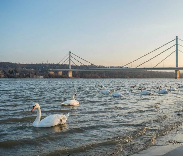 Vučević: Srećan Dan Dunava, čuvajmo ga