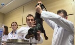 Vučić u poseti institutu: Neverovatni eksprerimenti, a pas je živ i dobre volje