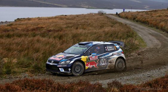 WRC – Wales rally GB 2016 – Ožie pobedio, Tanak oduševio, suvozača Floena ujela zmija