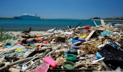 WWF poziva na globalnu zabranu štetnih jednokratnih plastičnih proizvoda