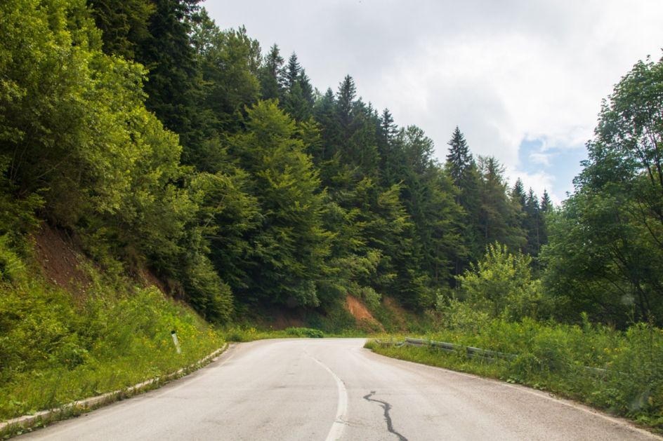 Weekend vodič: Obilazimo planinu Golija – skriveni dragulj Srbije za ljubitelje prirode i mira