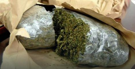 ZAPLENA NA KOSOVU U kamionu pronađeno više od 240 kilograma marihuane