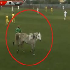 ŽIVOTINJSKA FARMA: Neviđene scene na utakmici Ukrajina - Italija, na teren ušli psi, a za njima i konj (VIDEO)
