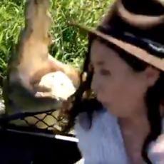 ZOVU GA KOSTOLOMAC! Nasmejala se krokodilu - sledeće sekunde, GORKO je zažalila zbog toga! (VIDEO)