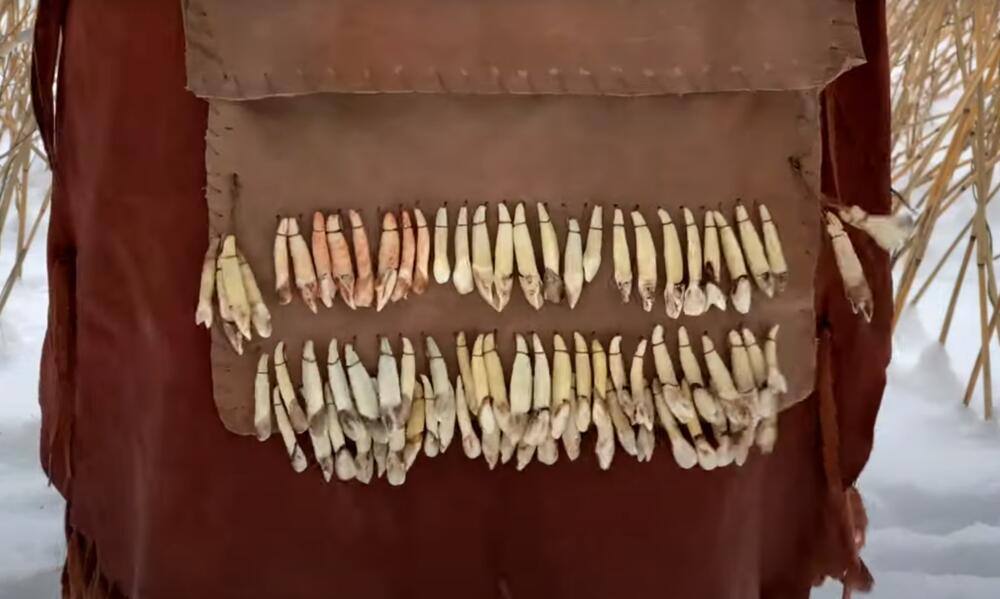 ŽURKA U KAMENOM DOBU: Praistorijski ljudi pre 8.000 godina muzicirali na životinjskim zubima VIDEO