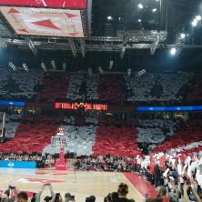 ZVEZDA SE NE ŠALI: Dva člana SRPSKE REPREZENTACIJE stižu među CRVENO-BELE