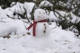 Za nevericu, pao sneg: Pravili sneška usred leta VIDEO/FOTO