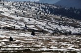 Zabelela se Srbija, ali se vraća miholjsko leto; Ne zadugo, sneg stiže opet VIDEO