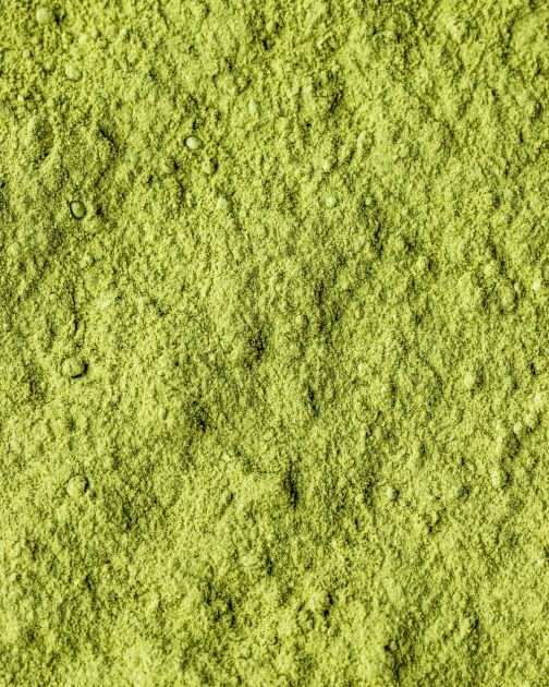 Zaboravite spirulinu i matchu: Aloe vera prah je novi wellness favorit