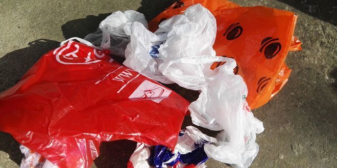 Zabrana korišćenja plastičnih kesa u prodavnicama  u Novom Sadu?