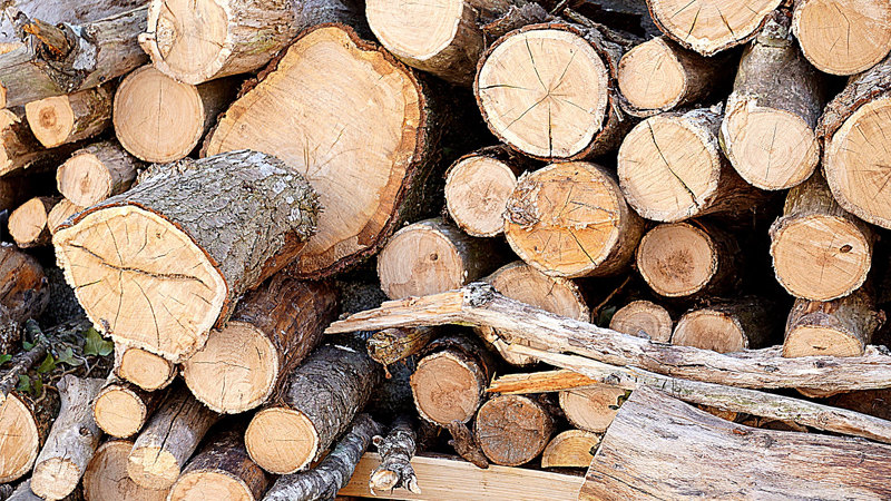 Zabranjen izvoz drveta zbog nestašice ogreva